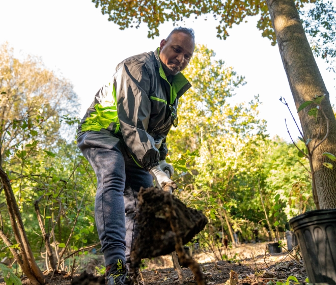Person digging up soil