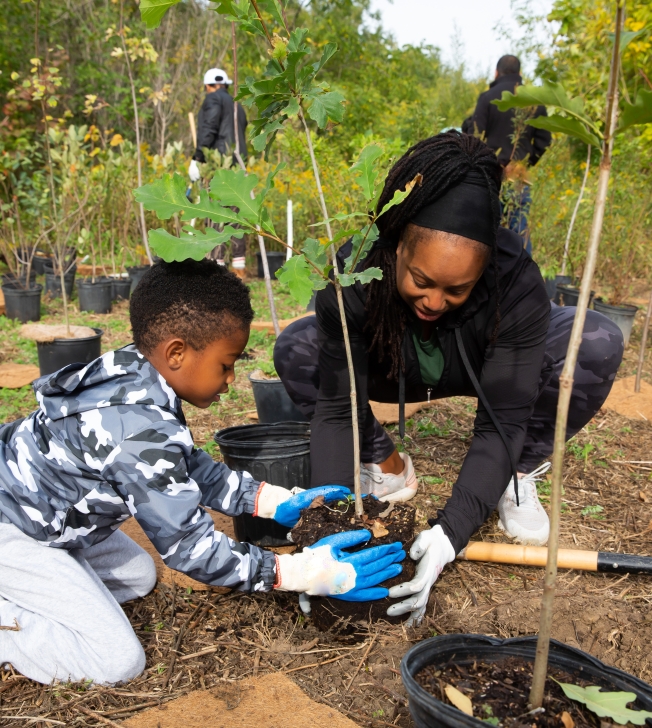 Un adulte et un enfant plantent un arbre ensemble