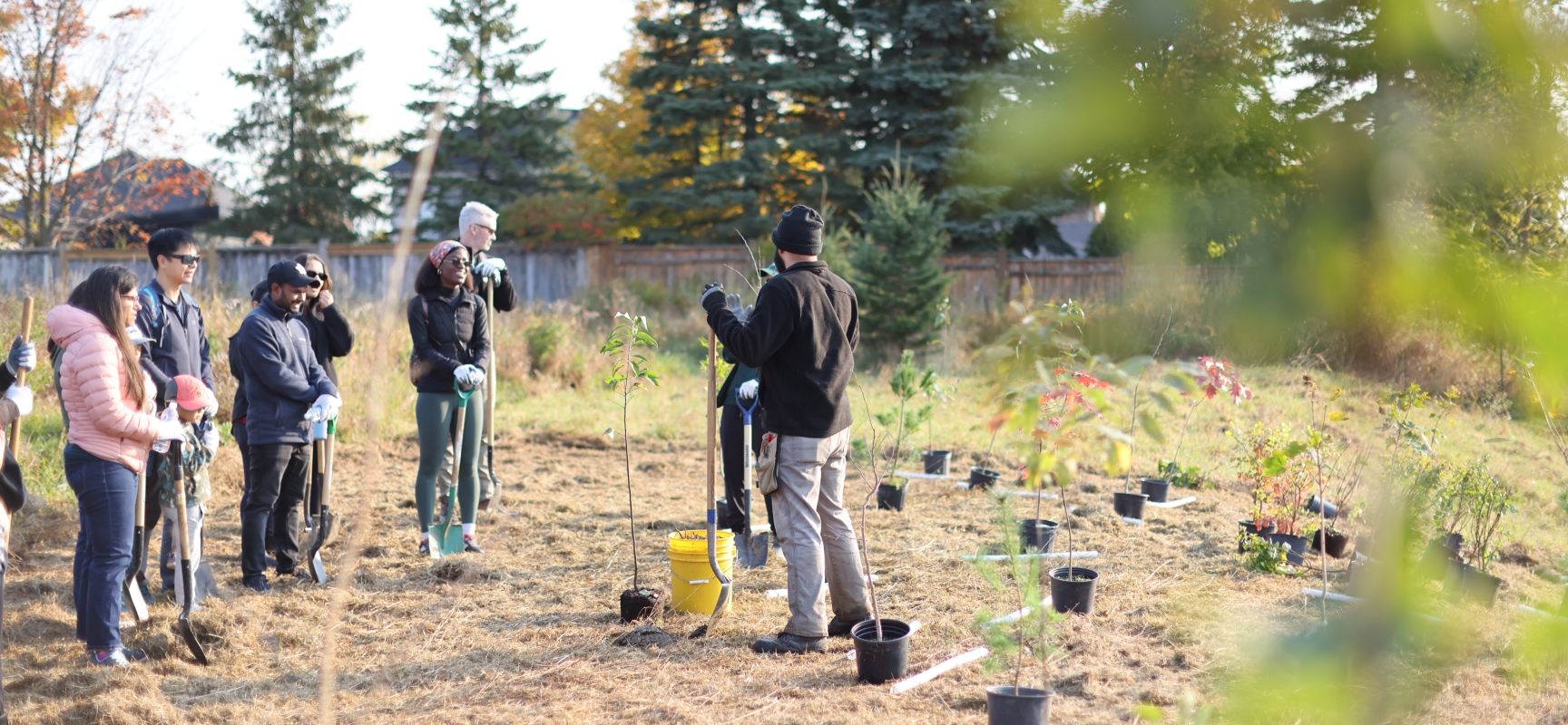 Rassemblement à une activité de plantation d’arbres